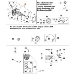 TRANSPORTADOR COMPLETO ORIGINAL EMAK 099900862R | NewgardenParts.com