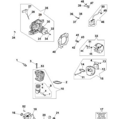 ORIGINAL EMAK CONVEYOR 094100053R | NewgardenParts.com