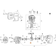 ALBERO MOTORE ORIGINALE EMAK 58090033R | NewgardenParts.com