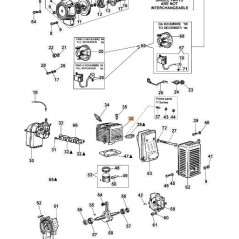 ORIGINAL CYLINDER EMAK 365200131R | NewgardenParts.com