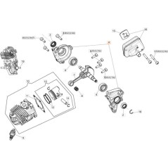 PAR DE MEDIOS CÁRTER EMAK ORIGINALES 50292017AR | NewgardenParts.com