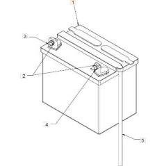 BATTERIA (AL PIOMBO) ORIGINALE EMAK C5032U30002R | NewgardenParts.com