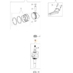 ALBERO MOTORE ORIGINALE EMAK L66150083 | NewgardenParts.com