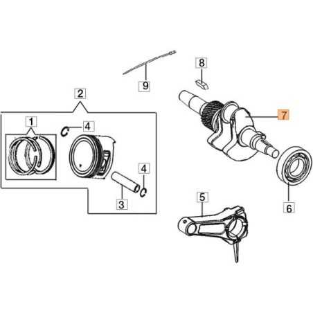 ARBRE D'ORIGINE EMAK L66150549 | NewgardenParts.com