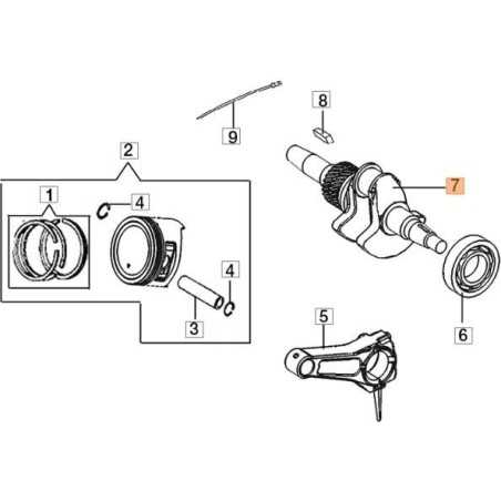 ARBRE D'ORIGINE EMAK L66150593 | NewgardenParts.com