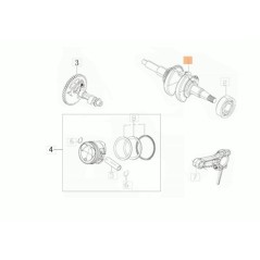ALBERO MOTORE ORIGINALE EMAK L66151808 | NewgardenParts.com