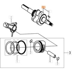 ALBERO MOTORE ORIGINALE EMAK L66152054 | NewgardenParts.com