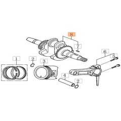 ALBERO MOTORE ORIGINALE EMAK L66152116 | NewgardenParts.com