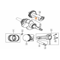 ORIGINAL EMAK CRANKSHAFT L66152424 | NewgardenParts.com
