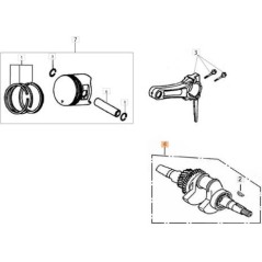 ARBRE D'ORIGINE EMAK L66151855 | NewgardenParts.com