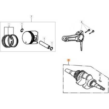 ARBRE D'ORIGINE EMAK L66151855 | NewgardenParts.com