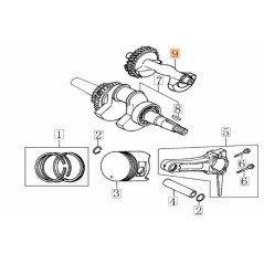 ARBRE D'ORIGINE EMAK L66152425 | NewgardenParts.com