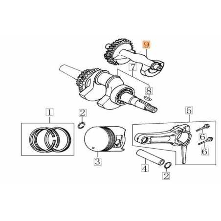 ARBRE D'ORIGINE EMAK L66152425 | NewgardenParts.com