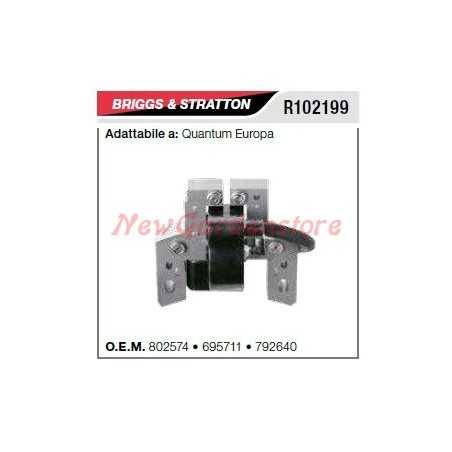 Ignition coil B&S lawn mower mower quantum europa R102199 | NewgardenParts.com