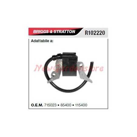Ignition coil B&S lawn mower mower R102220 | NewgardenParts.com
