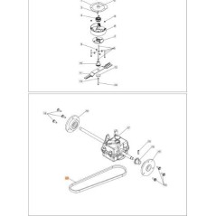 CEINTURE ORIGINALE EMAK PB0306030048 | NewgardenParts.com