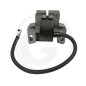 Bobina di accensione compatibile BRIGGS & STRATTON 18270080 590454