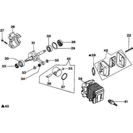 ORIGINALLAGER EMAK 50030009R | NewgardenParts.com
