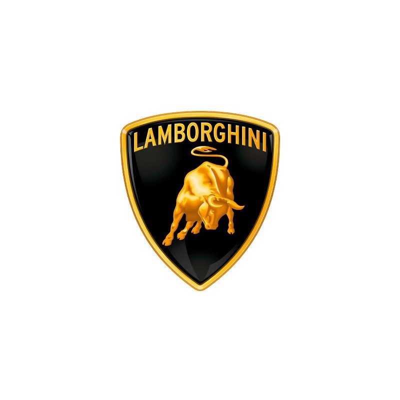 Bobina di accensione decespugliatore compatibile LAMBORGHINI 1P64F