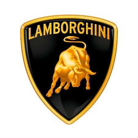 Brushcutter ignition coil compatible LAMBORGHINI 1P64F | NewgardenParts.com