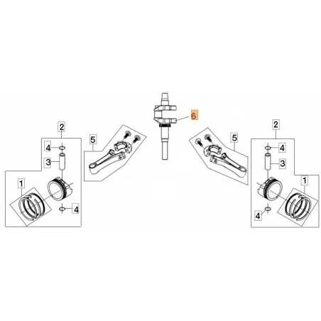 KIT ALBERO MOTORE ORIGINALE EMAK L66151063 | NewgardenParts.com