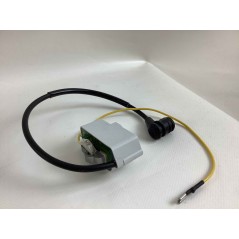 Zündspule EFCO Motorsäge 156 162 165HD bis 2007 50020061AR | NewgardenParts.com
