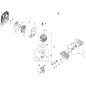 KIT GABBIA A RULLI + RALLA (CUSCIN. KV8X11X9,8S) ORIGINALE EMAK 61370254