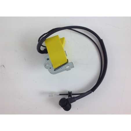 EFCO chainsaw ignition coil 199 099900675DR | NewgardenParts.com