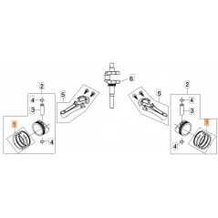 ORIGINAL SEGMENTKIT EMAK L66151059 | NewgardenParts.com