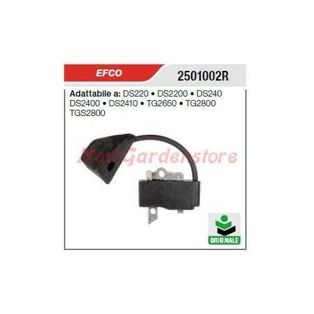 EFCO chainsaw ignition coil DS220 DS2200 DS240 2501002R | NewgardenParts.com