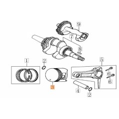 ORIGINAL PISTON EMAK L66152422 | NewgardenParts.com