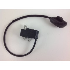 STIHL FS120 200 250 brushcutter ignition coil R102293 | NewgardenParts.com
