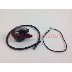 STIHL chainsaw ignition coil 021 023 025 R102169 | NewgardenParts.com