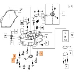 VITE ORIGINALE EMAK L66150720 | NewgardenParts.com