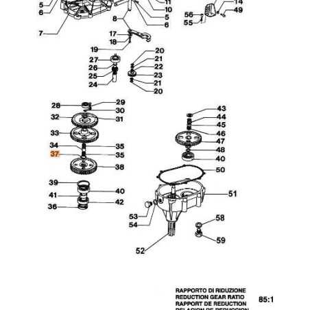 ANELLO ORIGINALE EMAK 3024025 | NewgardenParts.com
