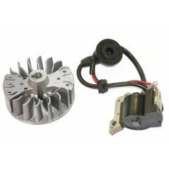 Electronic engine starter coil for brushcutter 260 E1 sprayer 3WZ6F KASEI | NewgardenParts.com