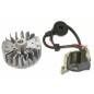 Electronic engine starter coil for brushcutter 260 E1 sprayer 3WZ6F KASEI