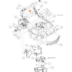 TORNILLO EMAK ORIGINAL C7100703 | NewgardenParts.com