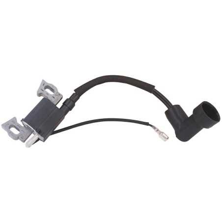 Electronic coil compatible engine 1P65FE-2 ES LONCIN 270920421-0001 | NewgardenParts.com