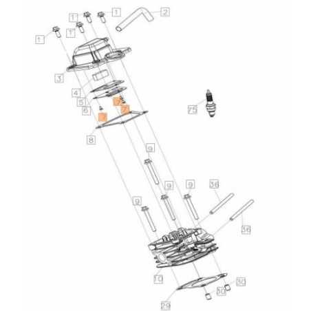 VITE ORIGINALE EMAK L66152473 | NewgardenParts.com