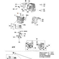 TORNILLO ORIGINAL EMAK 094000101R | NewgardenParts.com