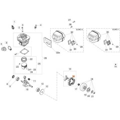 ORIGINAL EMAK FEDER 50250089R | NewgardenParts.com