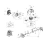 ORIGINAL EMAK SCREW 3891054R