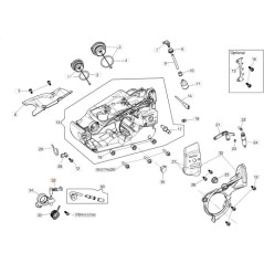 TUYAU EMAK ORIGINAL 50290113AR | NewgardenParts.com