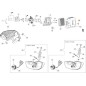 VITE TCTC M 5X14 FIX.COPERC. ZNB (C:5) IMPERDIBILE ORIGINALE EMAK 58070223R