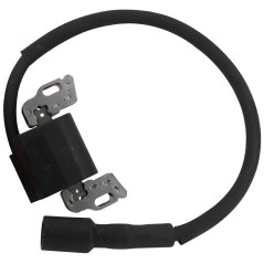 Electronic coil compatible engine B&S Power Built OHV vertical 21R600 21R700 | NewgardenParts.com