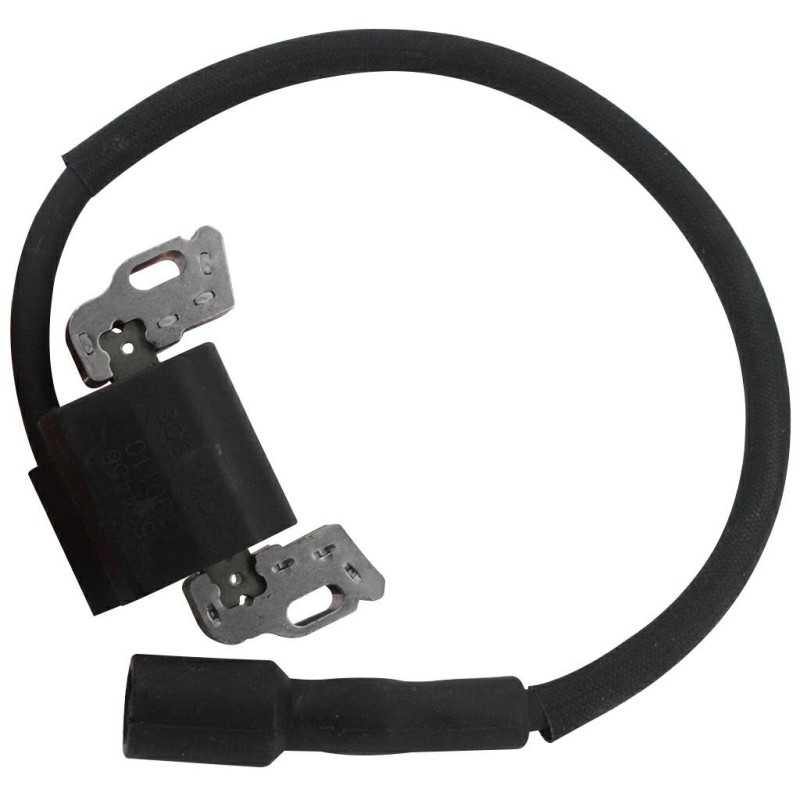 Electronic coil compatible engine B&S Power Built OHV vertical 21R600 21R700
