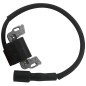 Electronic coil compatible engine B&S Power Built OHV vertical 21R600 21R700