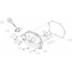 TORNILLO EMAK ORIGINAL L66152599 | NewgardenParts.com