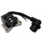 BJ335 GGP STIGA BJ335 brushcutter motor electronic coil 123044011/0 23044011